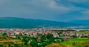 Bingöl Marka Tescil